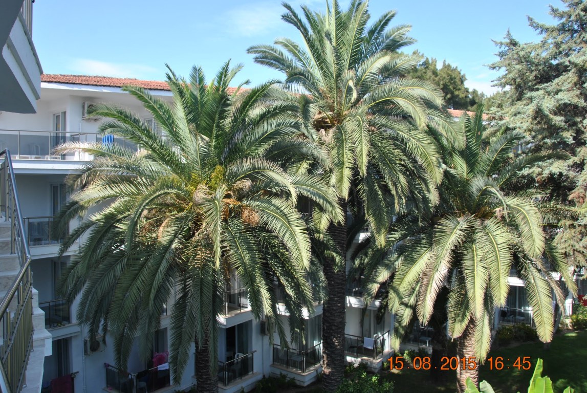 imagini hotel ATLANTIQUE KUSADASI